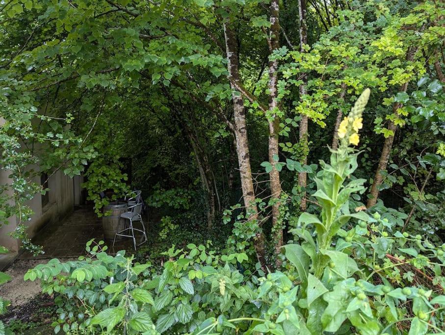 Gite Zen Dans Les Bois Blesignac エクステリア 写真